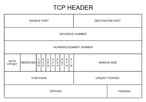 TCP HEADER